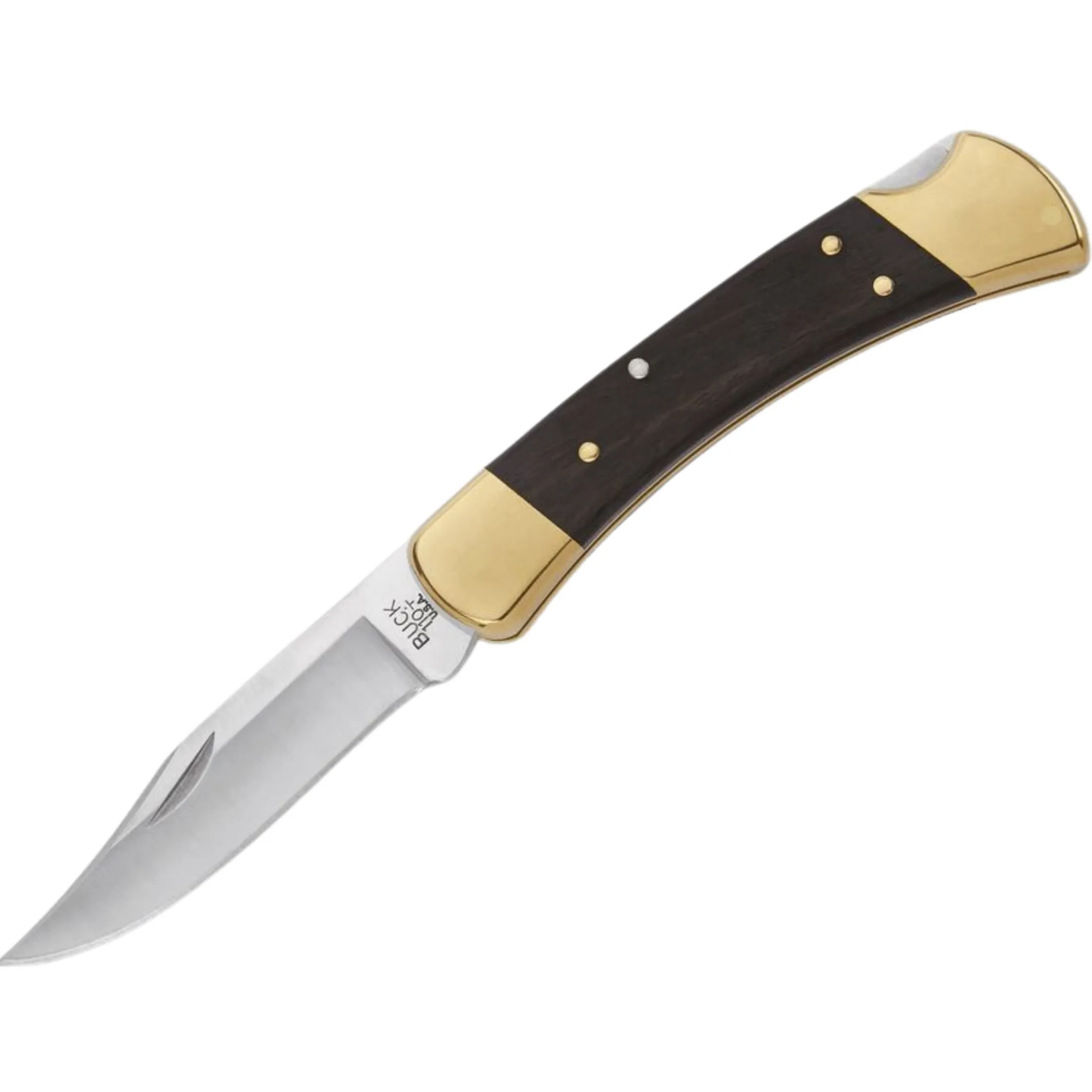 Buck 110 Folding knife