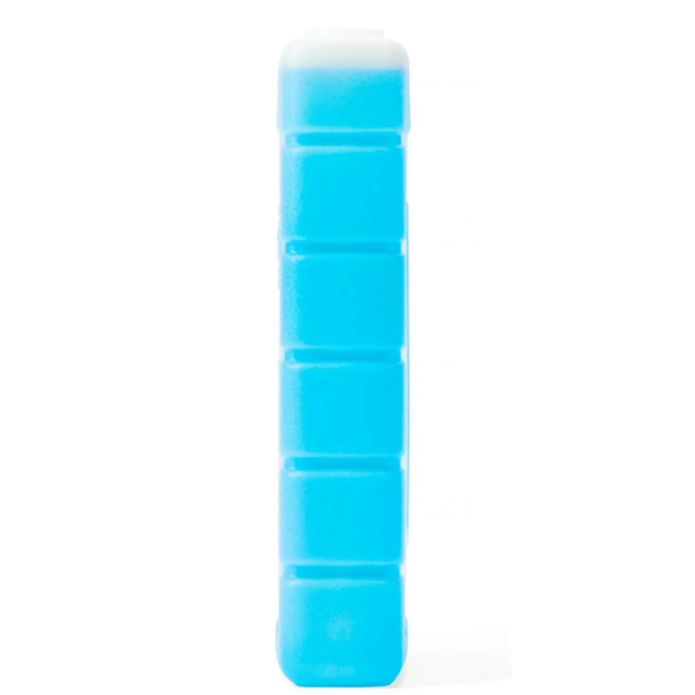 Chiller Ice pack - Large^Coleman Clearance