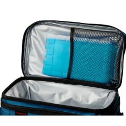 Chiller Ice pack - Medium^Coleman Discount