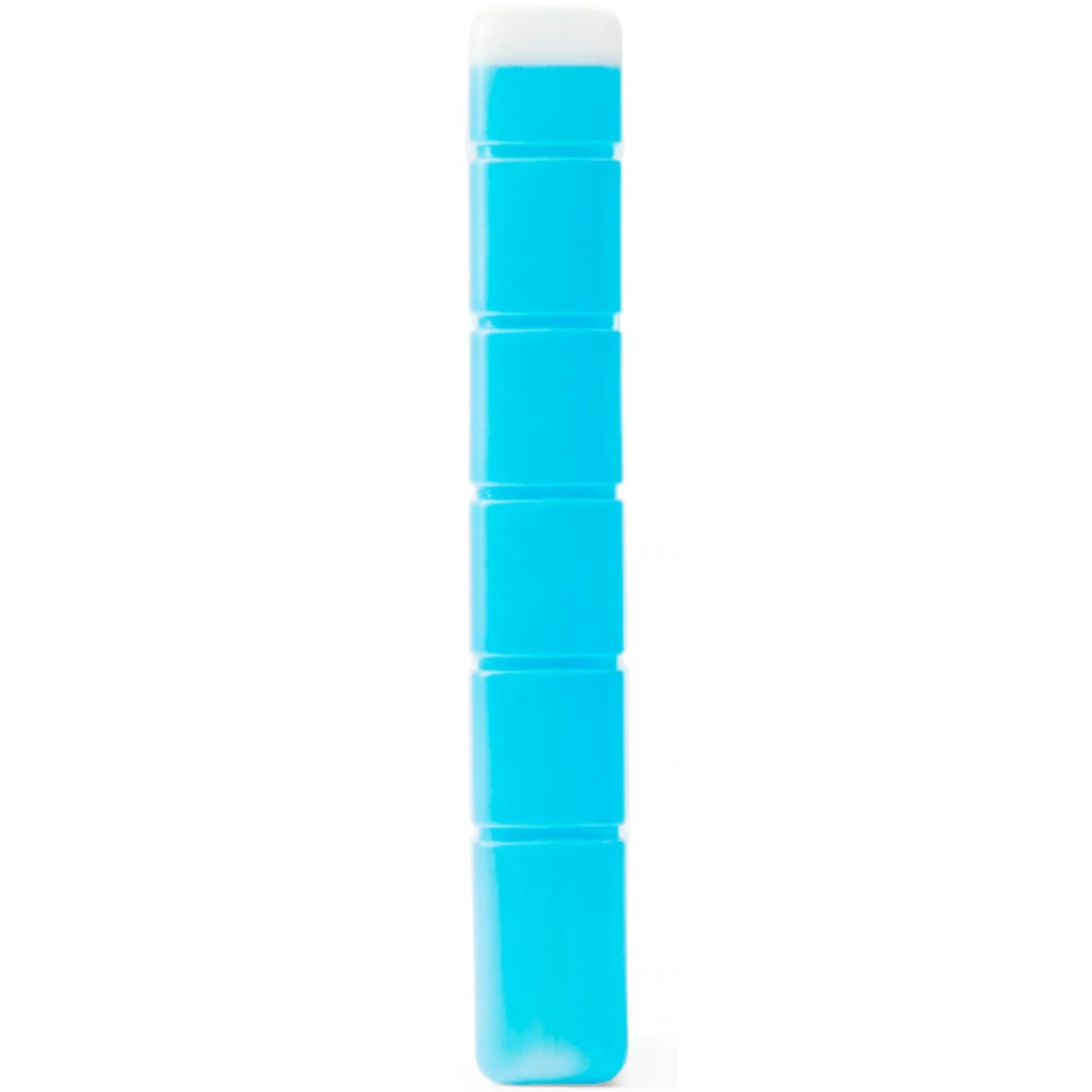 Chiller Ice pack - Medium^Coleman Discount