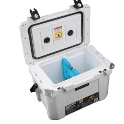 Ice-D Ice pack and cooler divider