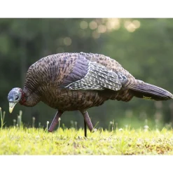 LCD Feeder Hen Decoy^Avian X Sale