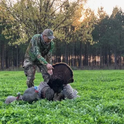 LCD Laydown Hen Decoy^Avian X Clearance