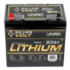 LiFePO4 Rechargeable Lithium battery - 50 A^Silver Volt Discount