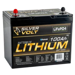 LiFePO4 Rechargeable Lithium battery - 100 A^Silver Volt Online