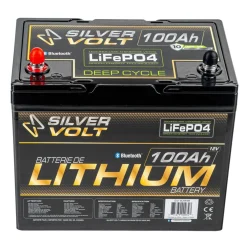LiFePO4 Rechargeable Lithium battery - 100 A^Silver Volt Online