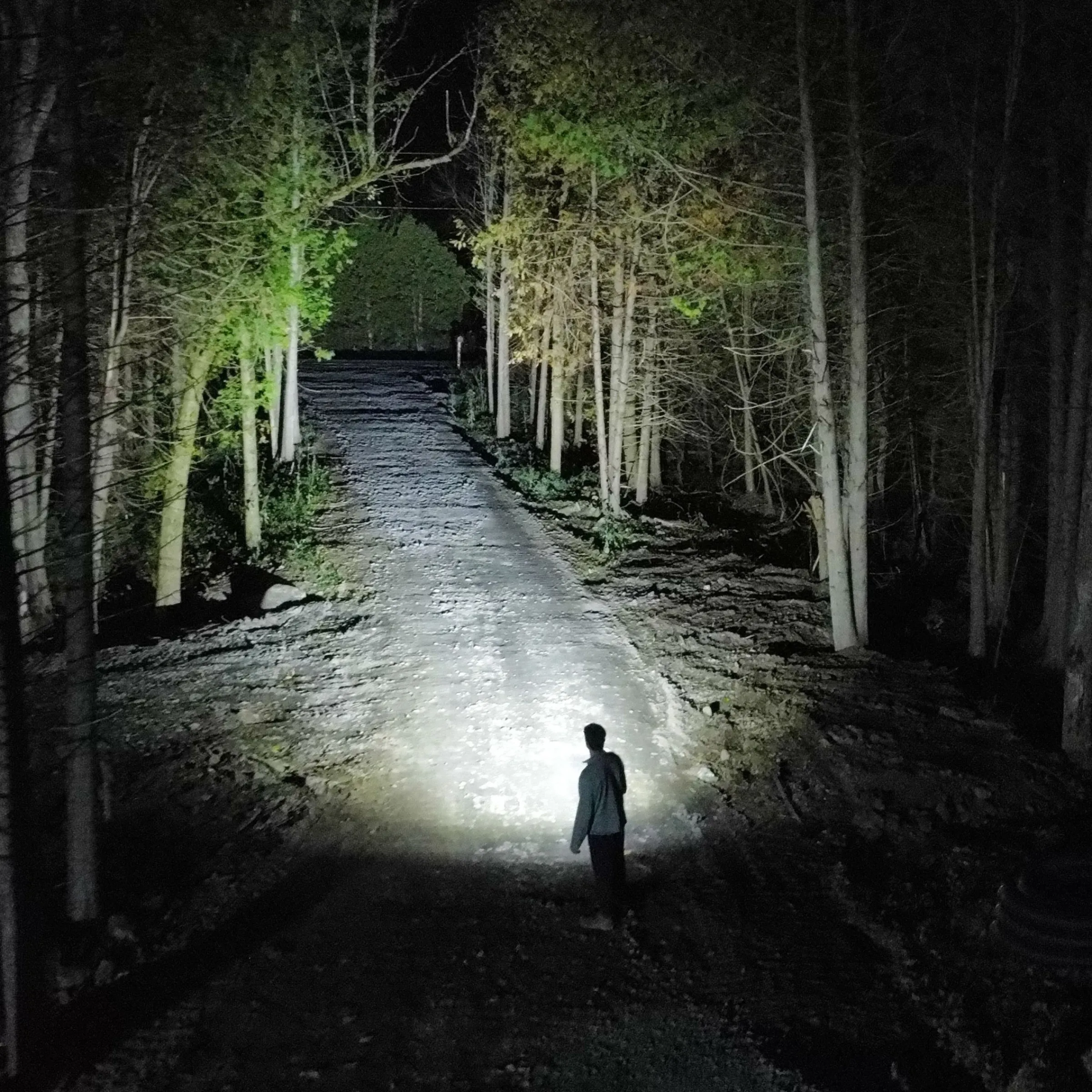 Predator 2000 Rechargeable flashlight^Genesis New