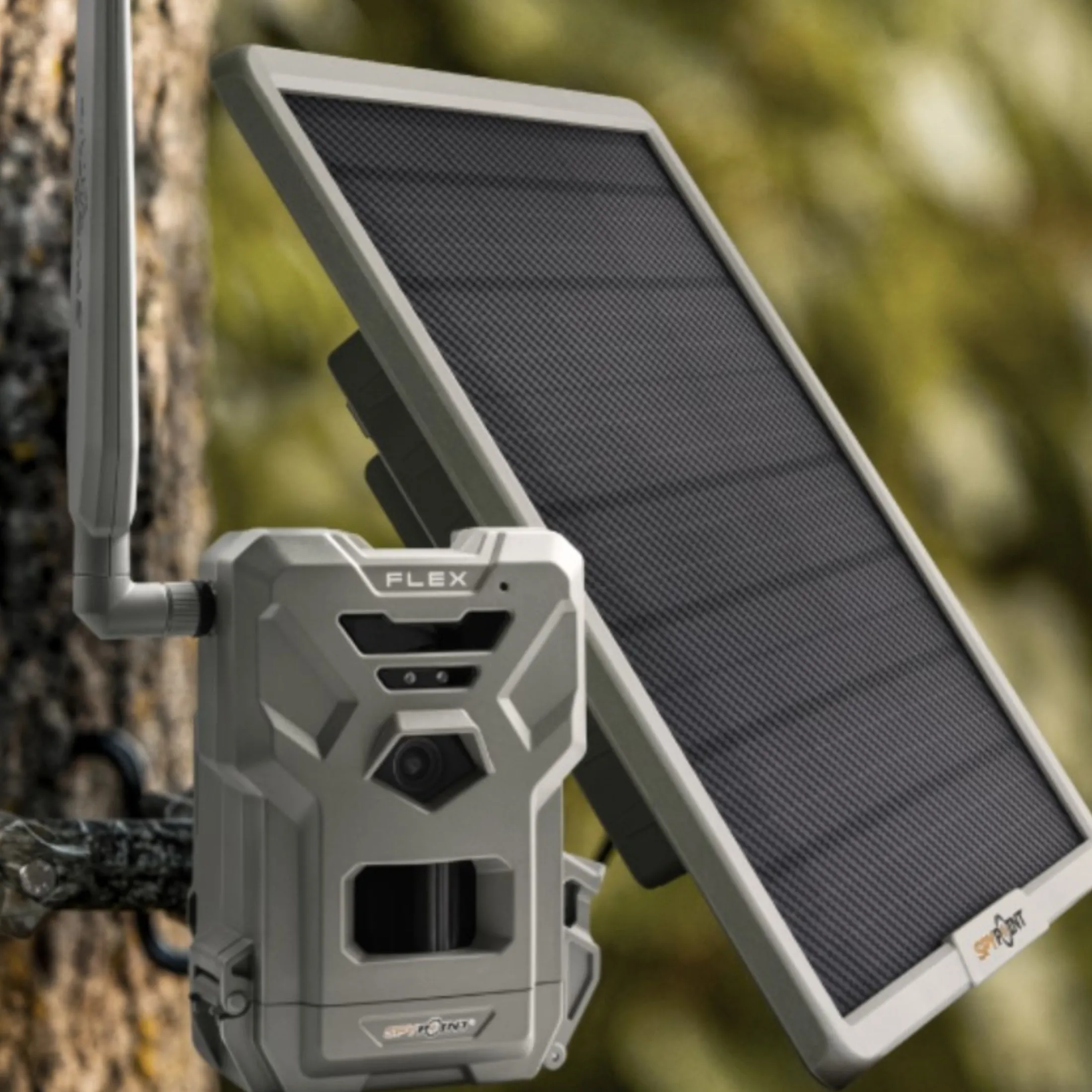 Solar panel - 10 W