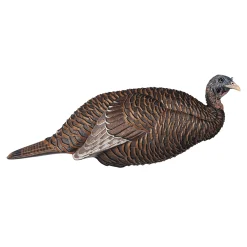 Thunder chick breeder Decoy^Flextone Best