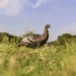 Thunder chick upright Decoy^Flextone New